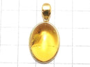 [Video][One of a kind] Insect Baltic Amber Pendant 18KGP NO.9