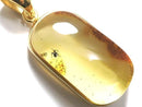 [Video][One of a kind] Insect Baltic Amber Pendant 18KGP NO.11