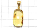 [Video][One of a kind] Insect Baltic Amber Pendant 18KGP NO.11