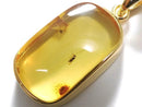 [Video][One of a kind] Insect Baltic Amber Pendant 18KGP NO.12
