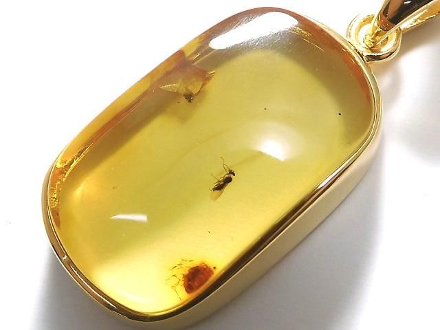 [Video][One of a kind] Insect Baltic Amber Pendant 18KGP NO.12