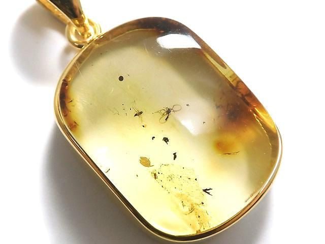 [Video][One of a kind] Insect Baltic Amber Pendant 18KGP NO.14