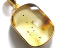 [Video][One of a kind] Insect Baltic Amber Pendant 18KGP NO.14