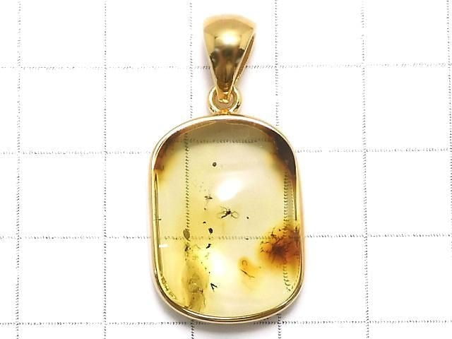 [Video][One of a kind] Insect Baltic Amber Pendant 18KGP NO.14