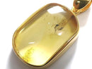 [Video][One of a kind] Insect Baltic Amber Pendant 18KGP NO.16