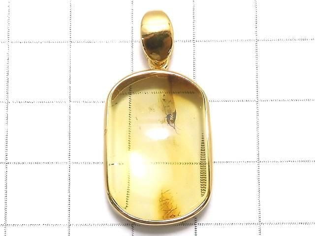 [Video][One of a kind] Insect Baltic Amber Pendant 18KGP NO.16