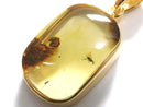 [Video][One of a kind] Insect Baltic Amber Pendant 18KGP NO.17