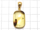 [Video][One of a kind] Insect Baltic Amber Pendant 18KGP NO.17