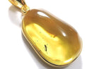 [Video][One of a kind] Insect Baltic Amber Pendant 18KGP NO.18