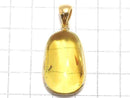 [Video][One of a kind] Insect Baltic Amber Pendant 18KGP NO.18
