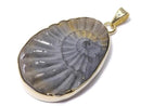 [Video][One of a kind] Ammonite Pyrite Pendant 18KGP NO.140