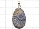 [Video][One of a kind] Ammonite Pyrite Pendant 18KGP NO.140