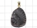 [Video][One of a kind] Ammonite Pyrite Pendant 18KGP NO.142