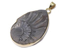 [Video][One of a kind] Ammonite Pyrite Pendant 18KGP NO.143