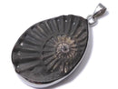 [Video][One of a kind] Ammonite Pyrite Pendant Silver925 NO.145