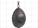[Video][One of a kind] Ammonite Pyrite Pendant Silver925 NO.145
