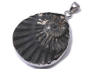 [Video][One of a kind] Ammonite Pyrite Pendant Silver925 NO.147