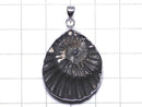 [Video][One of a kind] Ammonite Pyrite Pendant Silver925 NO.147