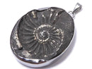 [Video][One of a kind] Ammonite Pyrite Pendant Silver925 NO.149