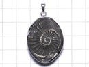 [Video][One of a kind] Ammonite Pyrite Pendant Silver925 NO.149