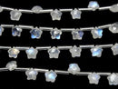 [Video]High Quality Rainbow Moonstone AA++ Faceted Star 6x6mm 1strand (8pcs)