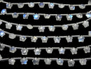 [Video]High Quality Rainbow Moonstone AA++ Faceted Star 6x6mm 1strand (8pcs)