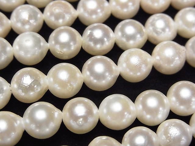 [Video] Japanese Akoya Pearl AAA- Semi Round 7.5-8mm White half or 1strand beads (aprx.15inch/38cm)