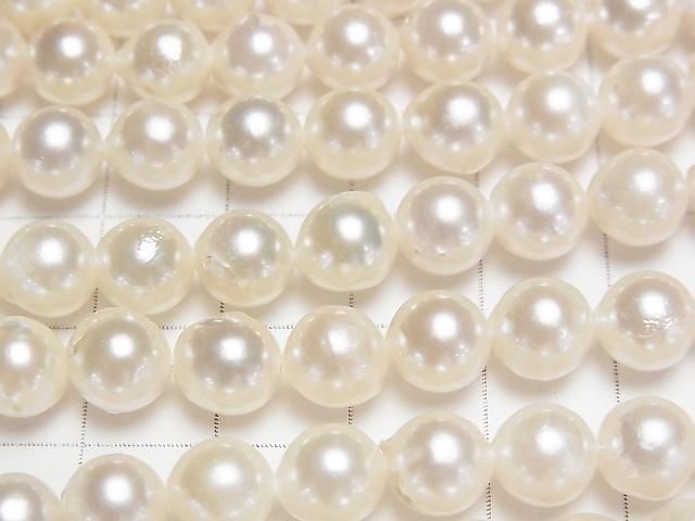 [Video] Japanese Akoya Pearl AAA- Semi Round 7.5-8mm White half or 1strand beads (aprx.15inch/38cm)