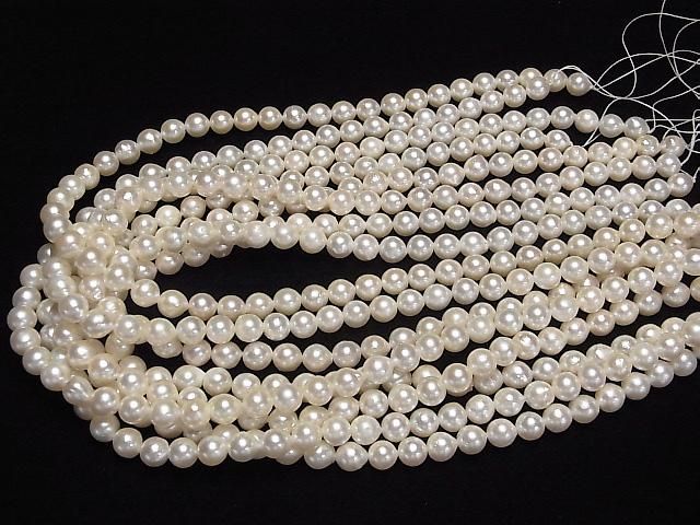 [Video] Japanese Akoya Pearl AAA- Semi Round 7.5-8mm White half or 1strand beads (aprx.15inch/38cm)
