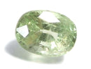 [Video][One of a kind] High Quality Mint Garnet Loose stone Faceted 1pc NO.9