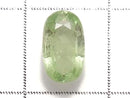 [Video][One of a kind] High Quality Mint Garnet Loose stone Faceted 1pc NO.23
