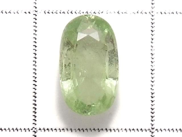 [Video][One of a kind] High Quality Mint Garnet Loose stone Faceted 1pc NO.23