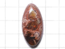 [Video][One of a kind] Cantera Opal Cabochon 1pc NO.35