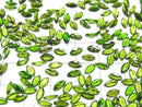 [Video]High Quality Chrome Diopside AAA- Loose stone Marquise Faceted 6x3mm 3pcs