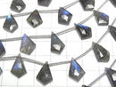 [Video]Labradorite AAA- Deformed Diamond Shape 1strand (6pcs)