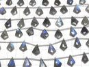 [Video]Labradorite AAA- Deformed Diamond Shape 1strand (6pcs)