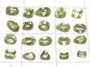[Video][One of a kind] High Quality Green Enstatite Loose stone Faceted 20pcs Set NO.60