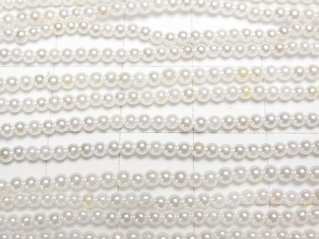 [Video]Shell Pearl White Round 2mm 1strand beads (aprx.15inch/38cm)