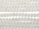 [Video]Shell Pearl White Round 3mm 1strand beads (aprx.15inch/38cm)