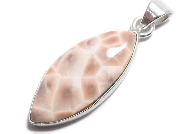 [Video][One of a kind] Thomsonite Pendant Silver925 NO.205