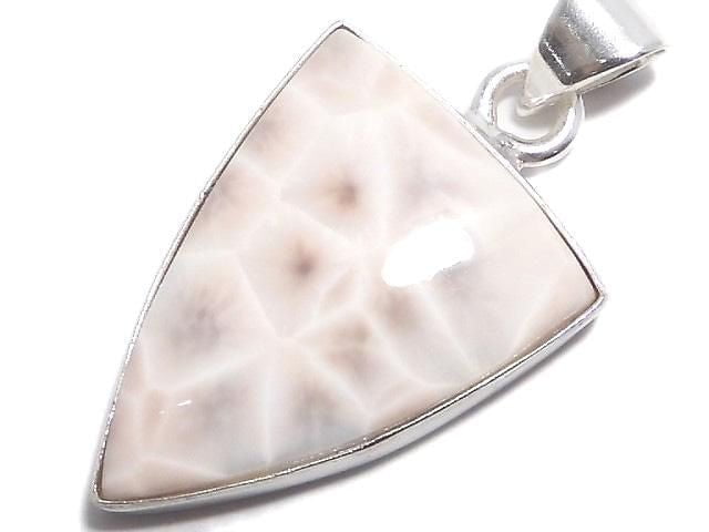 [Video][One of a kind] Thomsonite Pendant Silver925 NO.207