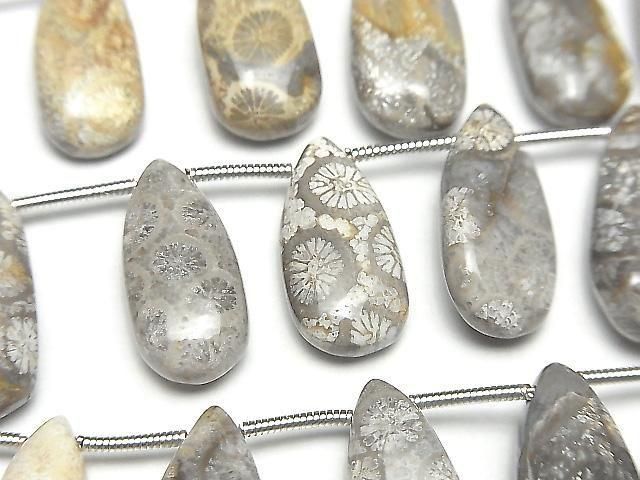 [Video] Fossil Coral Pear shape (Smooth) half or 1strand (14pcs )