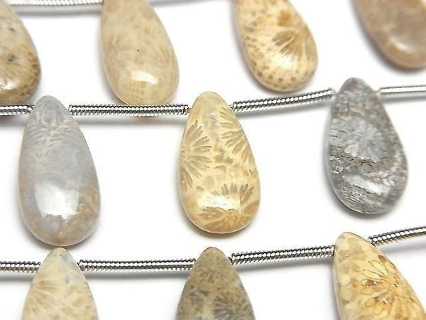[Video] Fossil Coral Pear shape (Smooth) 1strand (8pcs )