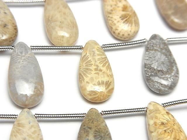 [Video] Fossil Coral Pear shape (Smooth) 1strand (8pcs )