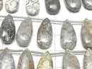 [Video] Fossil Coral Pear shape (Smooth) half or 1strand (14pcs )