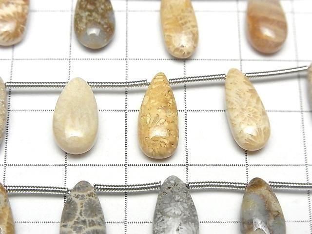 [Video] Fossil Coral Pear shape (Smooth) 1strand (8pcs )