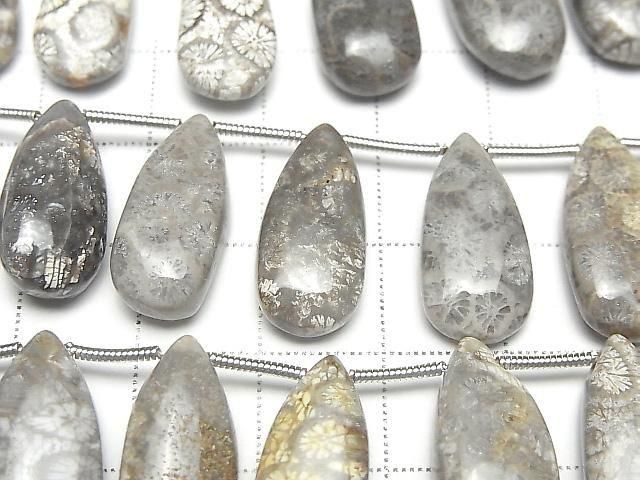 [Video] Fossil Coral Pear shape (Smooth) half or 1strand (14pcs )