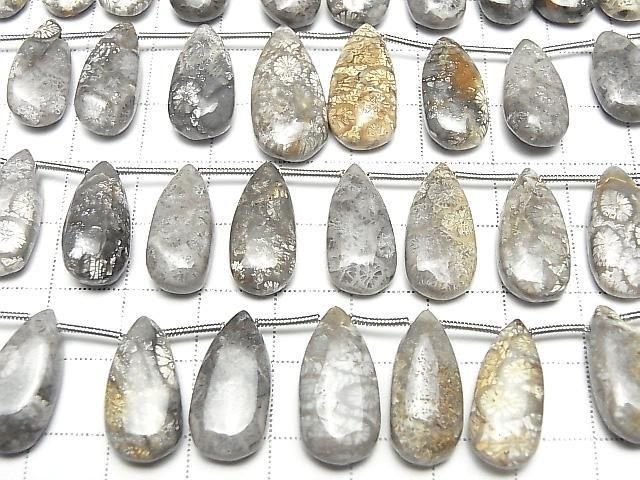 [Video] Fossil Coral Pear shape (Smooth) half or 1strand (14pcs )