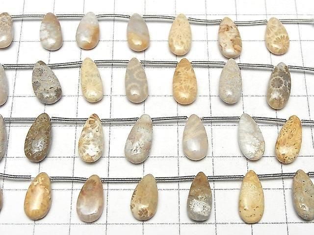 [Video] Fossil Coral Pear shape (Smooth) 1strand (8pcs )
