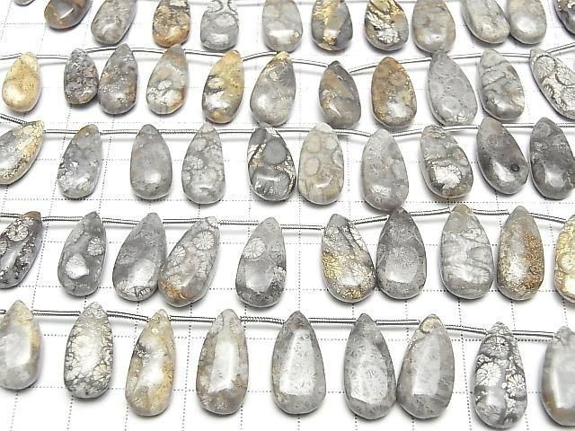 [Video] Fossil Coral Pear shape (Smooth) half or 1strand (14pcs )